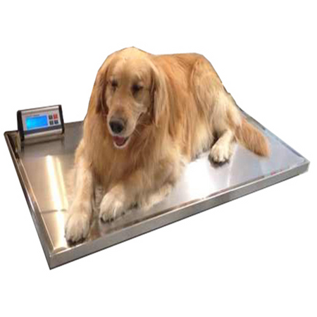 YSVET-TZC150 Animal Scale