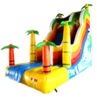 SL004 Tropical Dry Slide Inflatable
