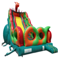SL002 Dry Slide Inflatable