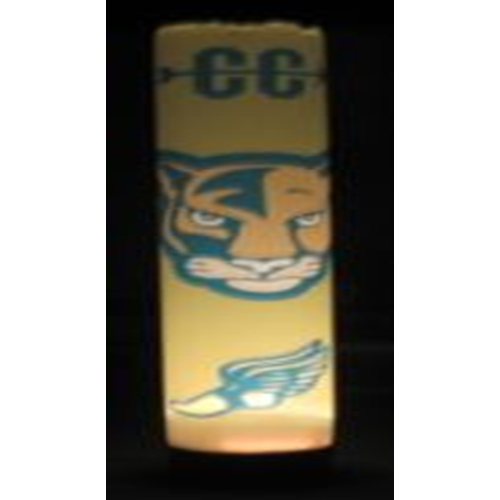 Light Tube w/ Full Digital Printings 48dia