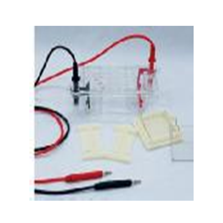 Horizontal Agarose Gel Electrophoresis Solt 31BN