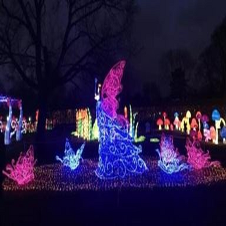 LED Motif Light Butterfly Fairy 6m(L) x 2.6m(H)