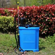 Dual-Powered Knapsack