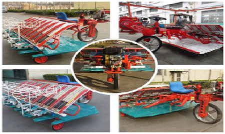 CY-8 8  Rows Rice  Transplanter  Machine