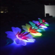 EV022 Flower Chain Blooming Automatically  Inflatable
